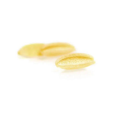 COMPRA ONLINE! Productos sellados, que llegan desde Italia a Chile para estar en tu cocina-Harina-Guanciale-Recetas-Cocteles-Bio-Gluten Free-Integral-Pastas Al Huevo-Pastas Cortas-Pastas Especiales-Pastas Largas-Di Martino-Dolce & Gabana-Granoro. Revisa toda la coleccion Y Aprovecha la linea gourmet en Gourmitalia.cl