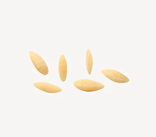 Orzo Trafilati al Bronzo I.G.P.