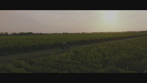 Aceto Balsamico di Modena I.G.P. Invecchiato 3 Anni